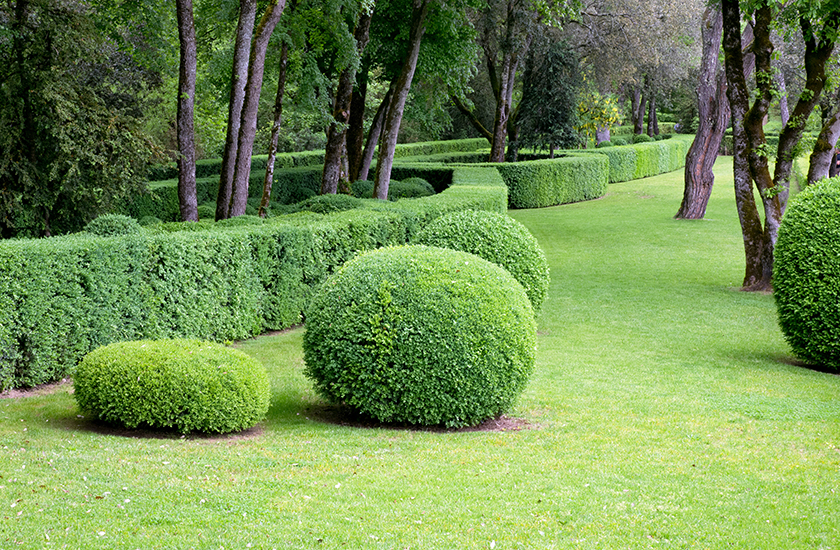 Entretien espaces verts